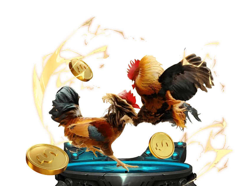 Hình ảnh minh họa các giấy tờ pháp lý và quy định cá cược